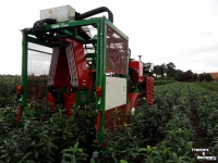 Arracheuse des mottes Ezendam Globus ASTM automatische Steekmachine
