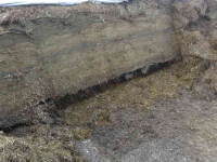 Coupe-blocs d'ensilage Frickelo Kuilhapper
