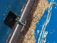 Machine à resemer Vredo DZ 2 meter doorzaaimachine