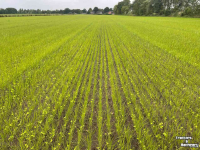 Semoir  SEED2DISC zaaimachine