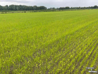 Semoir  SEED2DISC zaaimachine