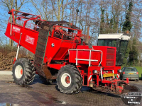 Arracheuse de betteraves Gilles Beet Master 2000