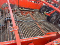 Arracheuse de pommes de terre Amac E2