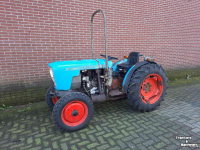 Tracteur pour horticulture Eicher 334S