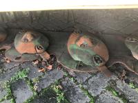 Faucheuse Krone EC 320 CV Q Maaier