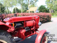 Tracteurs anciens Belarus T 25 Oldtimer Tractor