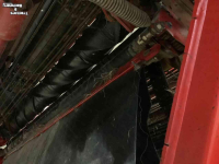 Arracheuse de pommes de terre Grimme GT 170 S