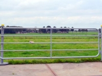 Autres matériel et accessoires d´étable Qmac HW350  Weidehekken / Landhekken / Weidepoort
