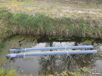 Pompe d‘irrigation  Robbemont bootpomp.