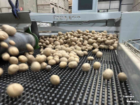 Autres matériel de convoyage et accessoires Pro-vega SN Loofscheider / Egelband / Leaves separator ( voorraad )