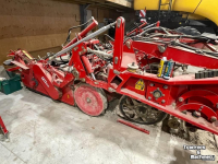 Arracheuse de pommes de terre Grimme Opname 6x50cm t.b.v. Grimme Tectron