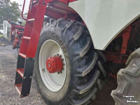 Arracheuse de betteraves Vervaet BE625 Bietenrooier / Sugar beet harvester / Rubenroder