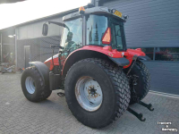 Tracteur Massey Ferguson 6445