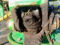Faneur Deutz-Fahr 5000