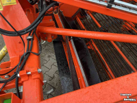 Arracheuse d‘oignons Holaras UR170- DB uienrooier