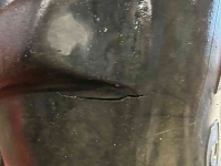 Roues, Pneus, Jantes, Barillets Jumelage Firestone 650 65 38