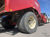 Arracheuse de pommes de terre Grimme GV 3000 4-rijige getr. aardappelrooier