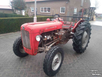 Tracteurs anciens Massey Ferguson 35