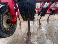 Cultivateur Kongskilde Vibro Flex