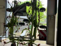 Faneur Claas Volto 1100