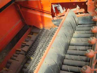 Arracheuse de pommes de terre Grimme DL  1700