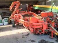 Arracheuse de pommes de terre Grimme DL  1700