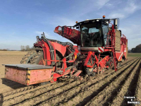 Arracheuse de pommes de terre Grimme Varitron, rooier, aardapelrooier, rooimachine