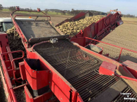 Arracheuse de pommes de terre Grimme Varitron, rooier, aardapelrooier, rooimachine