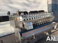 Peseuses Newtec 2014D Computerweger