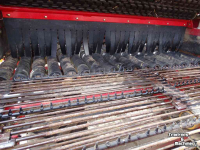 Arracheuse de pommes de terre Grimme GT 170 Aardappelrooier