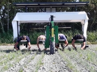 Autres matériel de fertilisation et accessoires Doornbos Zelfrijdend Wiedbed