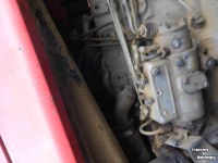 Tracteur pour vignes et vergers MF 145
