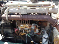 Moteur / Pompe stationair DAF Beregeningspomp met Caprari 80 4/3a pomp