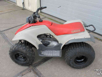 ATV / Quads Yamaha Breeze 125cc quad ATV