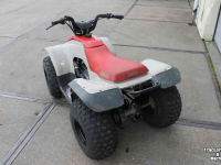 ATV / Quads Yamaha Breeze 125cc quad ATV