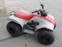 ATV / Quads Yamaha Breeze 125cc quad ATV