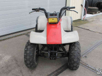 ATV / Quads Yamaha Breeze 125cc quad ATV