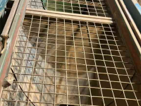 Trieuse Demco Complete sorteerinstallatie