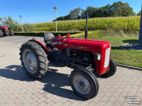 Tracteur pour horticulture Massey Ferguson 35