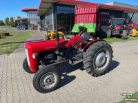 Tracteur pour horticulture Massey Ferguson 35