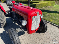 Tracteur pour horticulture Massey Ferguson 35