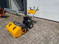 Balayeur Stiga SWS 800 G