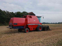 Moissonneuse batteuse Massey Ferguson 31