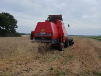 Moissonneuse batteuse Massey Ferguson 31