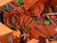 Presses Kayhan Ertugrul ke520