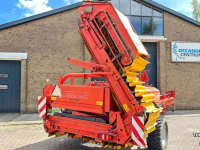 Arracheuse de pommes de terre Grimme DL 1700 Aardappelrooier