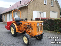 Tracteur pour vignes et vergers Holder P60