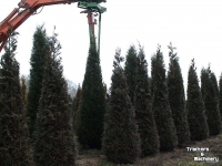 Autres matériel et accessoires d´arboriculture Ezendam Globus 4mtr. heggenschaarmes demo