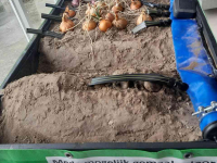Autres matériel d´irrigation et accessoires  drip irrigatie