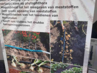 Autres matériel d´irrigation et accessoires  drip irrigatie